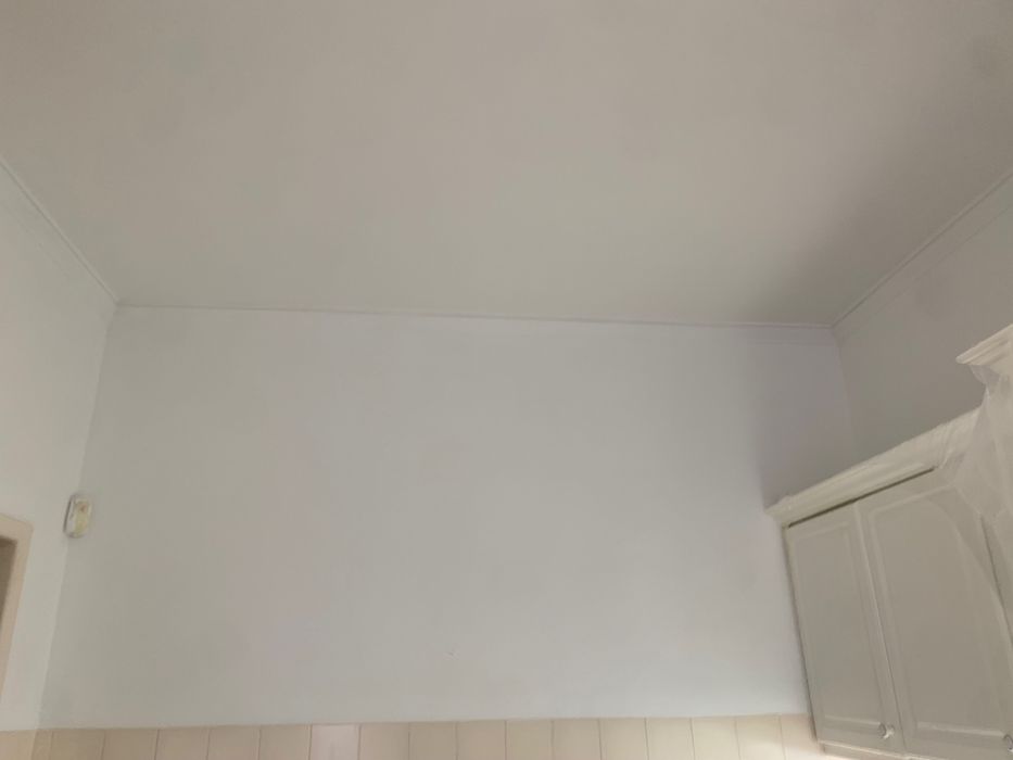 Faço Pinturas e Reparações