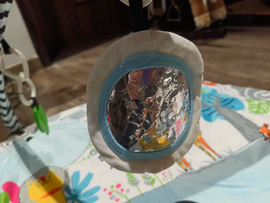 Mata edukacyjna Momi