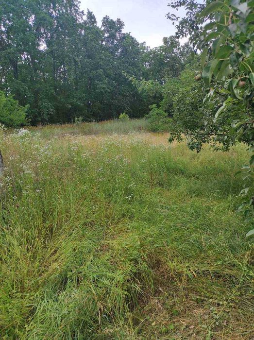 Будинок 70кв / 120 км від Києва