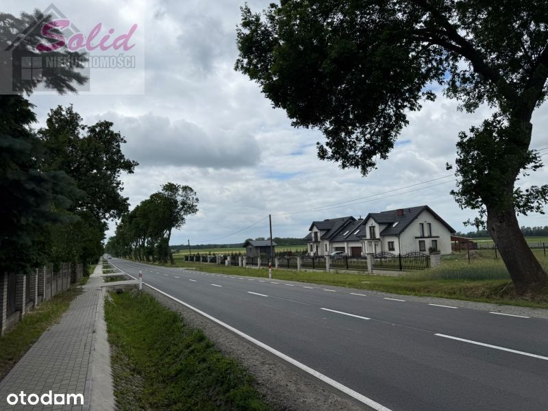 Urokliwe siedlisko pod Gostyninem