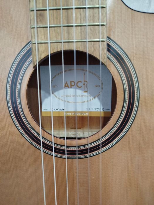 Guitarra APC 1C Slim