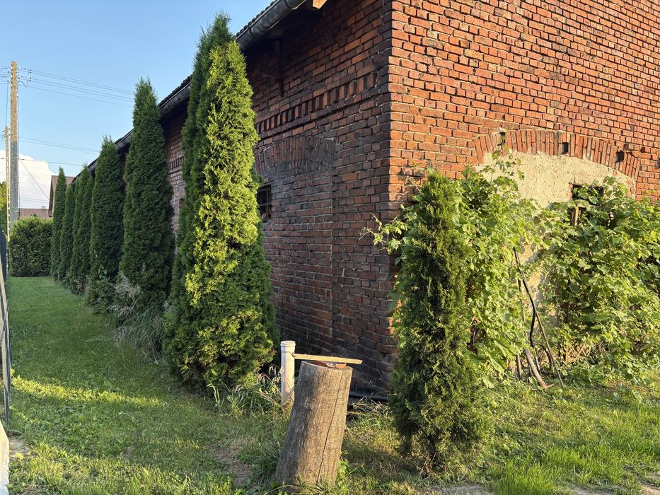 Sprzedam dom 220m2