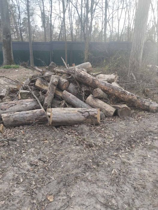 Дрова кругляк, 700грн, самовивіз, доставка