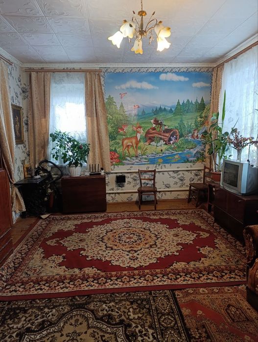 Продается дом в Синельниково