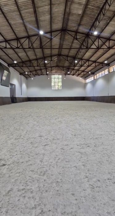 Cavalos a Penso ou Pasto - Espinho/Vila Nova de Gaia