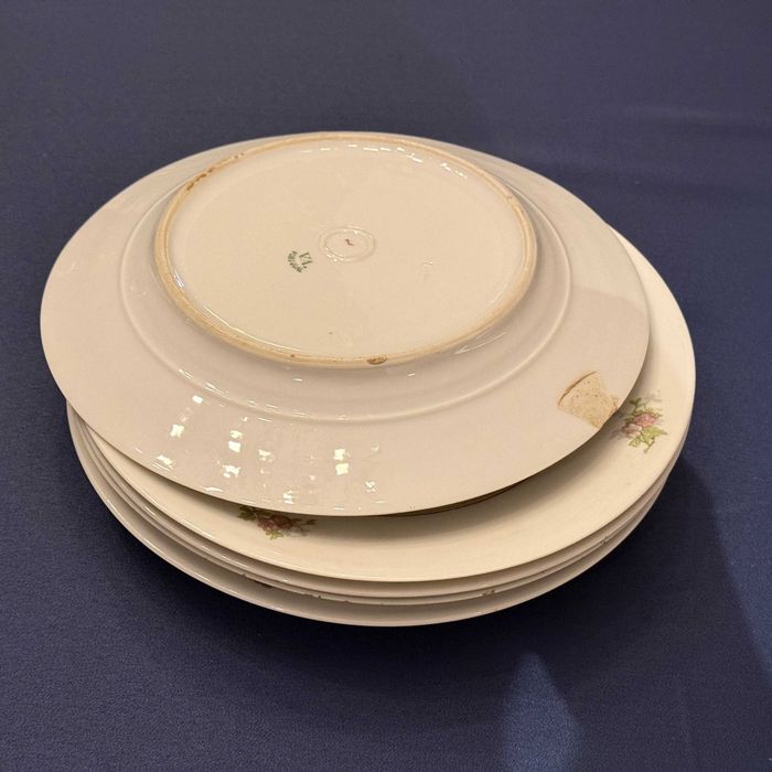 Set of 6 Early 1950s Vintage Plates by Vista Alegre