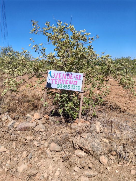 Terreno RUSTICO em Tinhosas SILVES