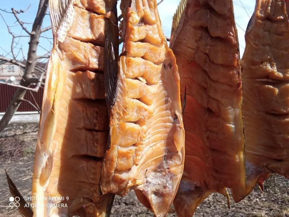 Толстолоб холодного копчення.Відмінний смаколик до пива.