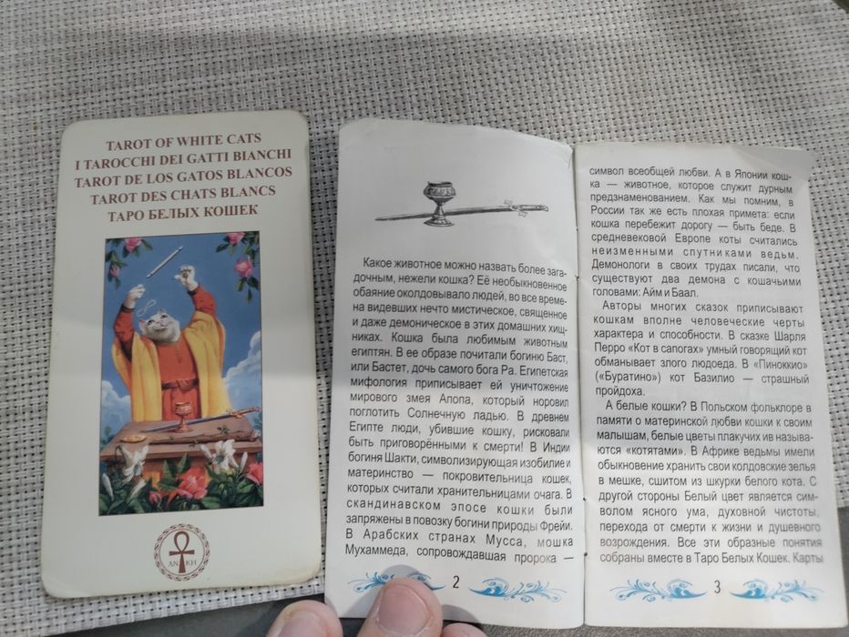 Карти таро - чорні та білі коти