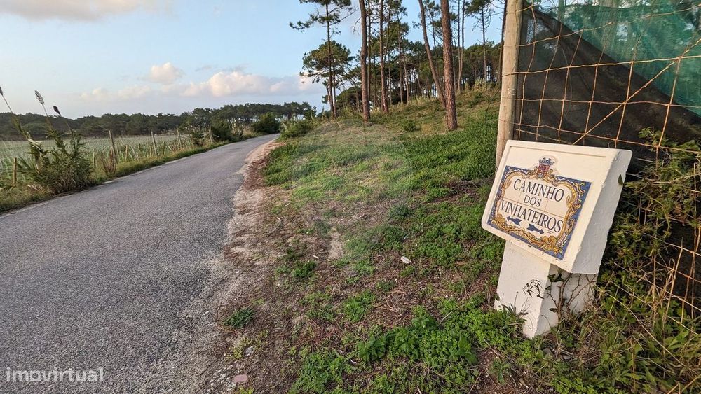 Terreno  para venda — Sintra (Santa Maria E São Miguel, São Martinho E São Pedro De Penaferrim), Lisboa
