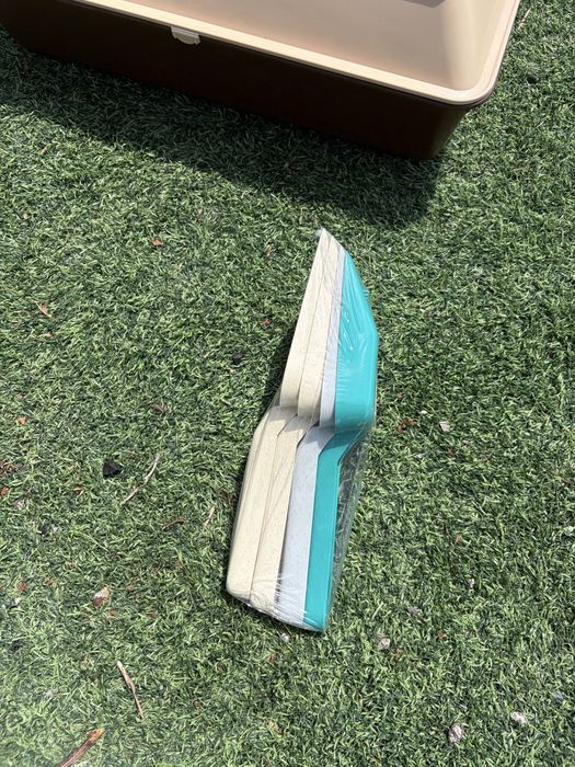 Caixa de areia para gatos c/ kit pás