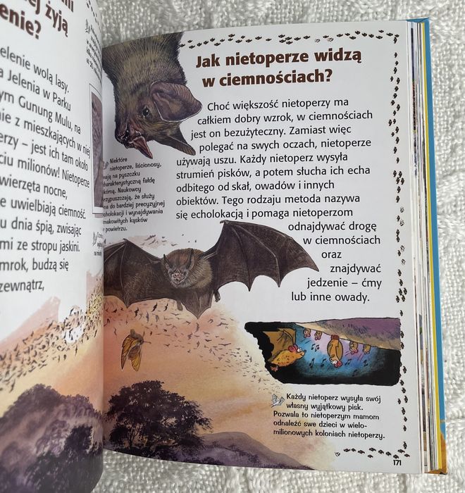 Księga przyrody dla dzieci: Kosmos, Nasza Planeta, Morza, Góry