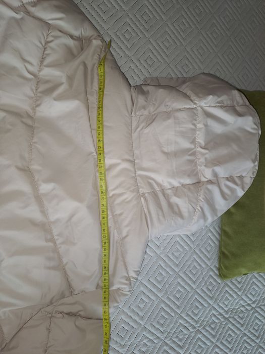 Kispo bege Springfield