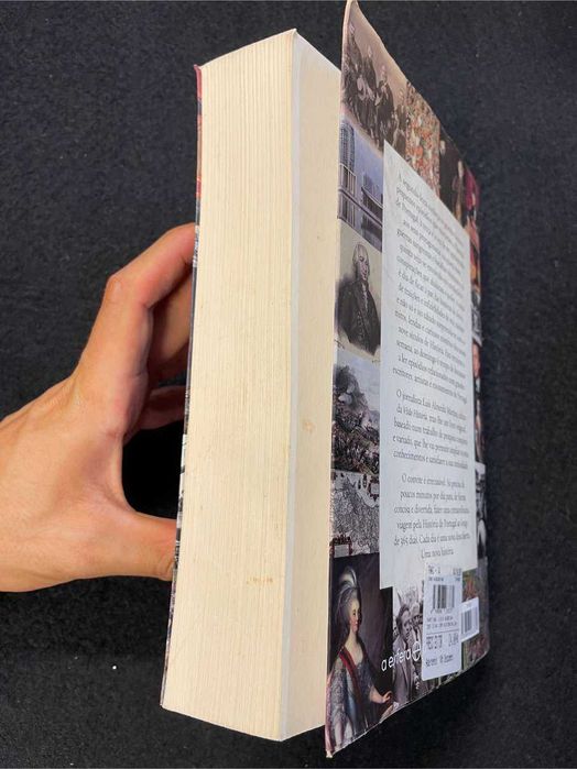 Luís Almeida Martins - 365 dias com histórias da história de Portugal