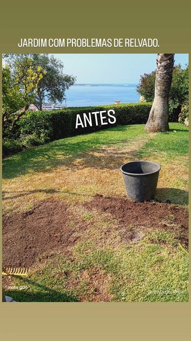 Jardinagem e Manutenção de Jardins