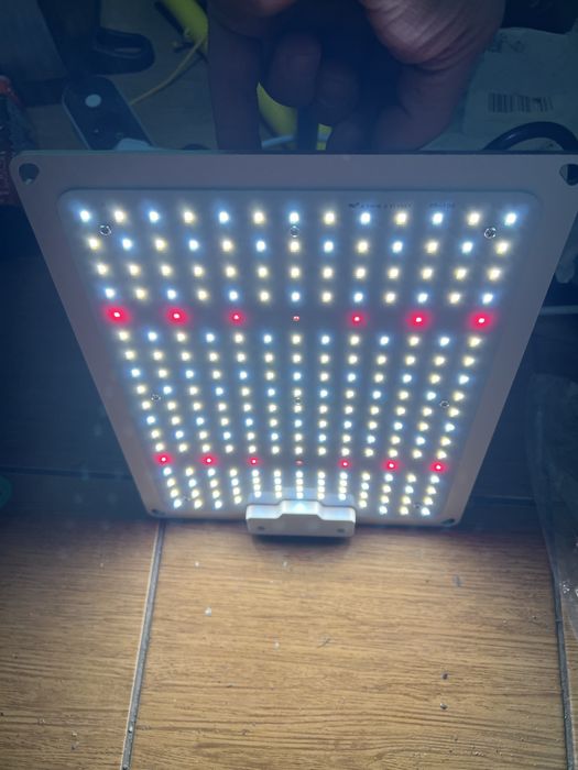 Panel LED Grow Light 100W pelne spektrum zestaw
