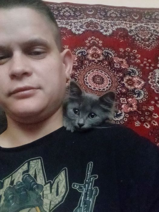 Пропал котёнок по кличке мики