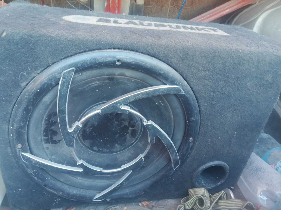 Продам саб з усілком