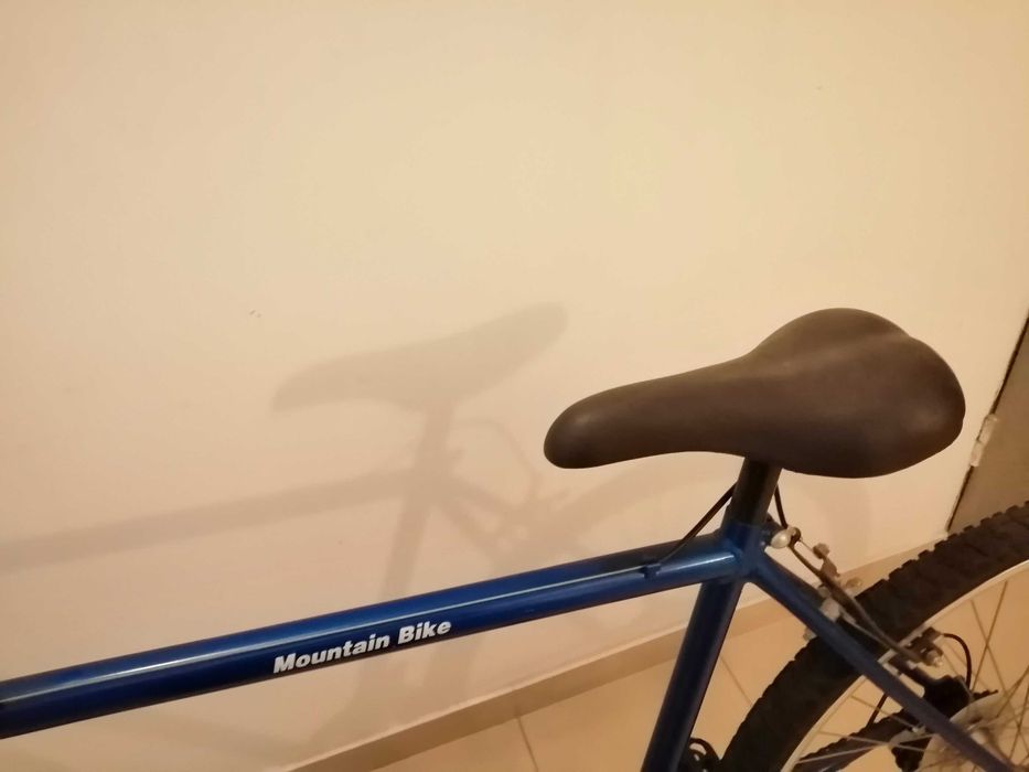Bicicleta de montanha