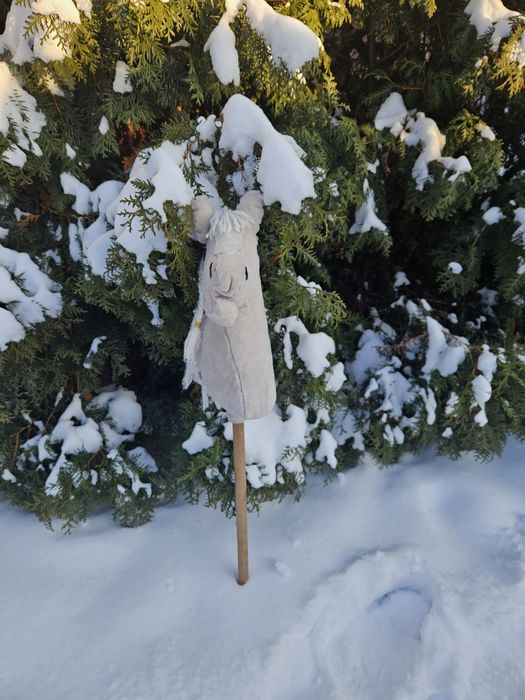 Hobby horse A3 + kij