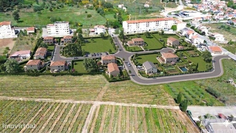 Terreno Agrícola em Alijó