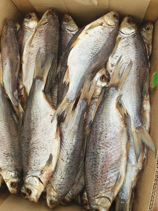 Плотва з ікрою.  Ікра толстолоб Густера Чехонь  Тарань сушена