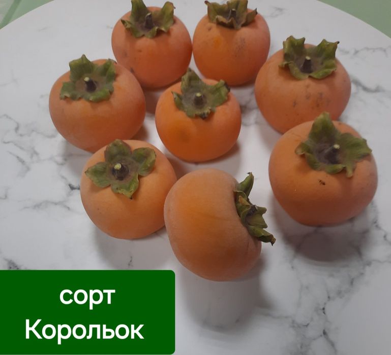 У продажі  на весну викопні дворічні саджанці  хурми( сорта на фото)