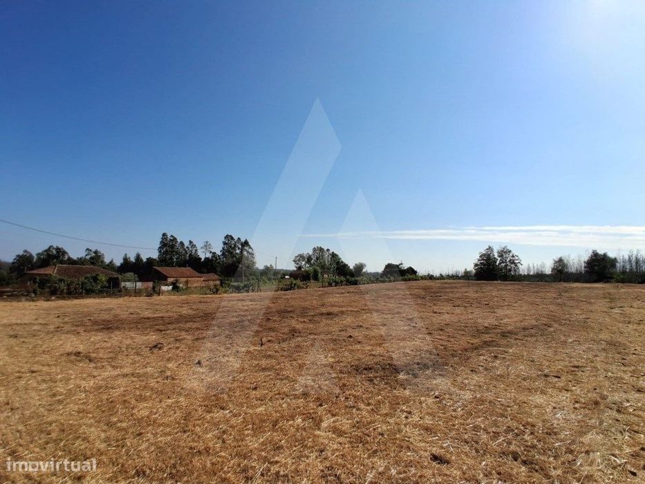 Terreno urbano para construção no Beco - Macinhata do Vouga, Águeda