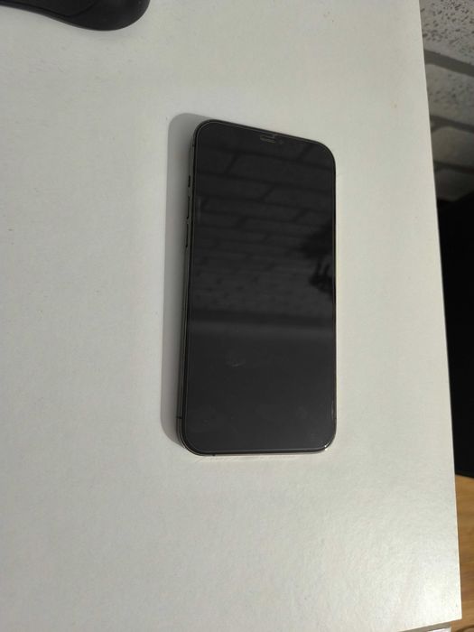 iPhone 12 Pro Max 256GB
