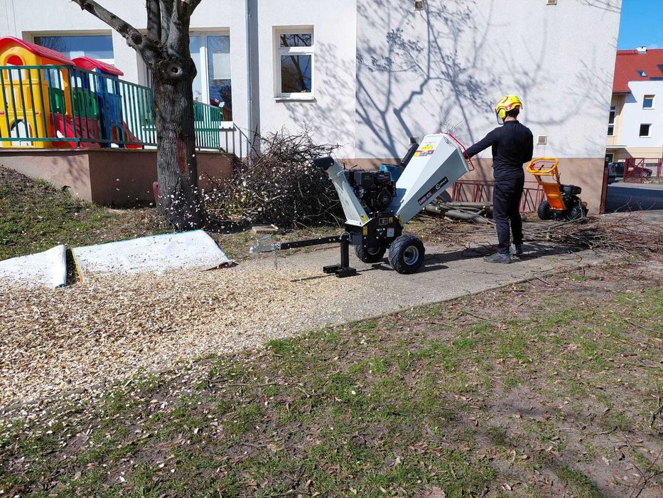 Wycinka, pielęgnacji drzew i żywopłotów