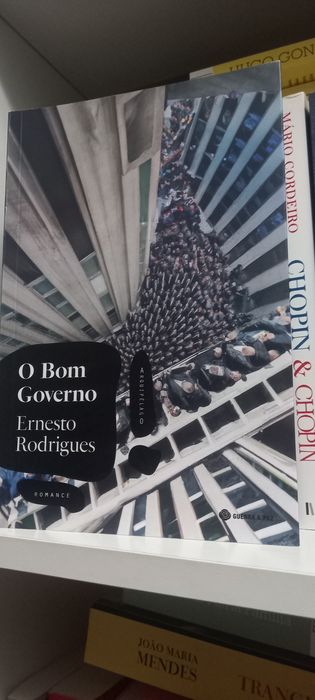"O Bom Governo "
