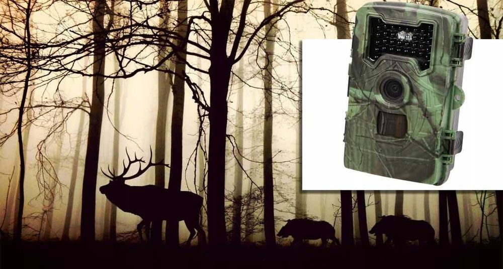 ZESTAW Fotopułapka 1080p kamera myśliwska leśna wodoodporna DIODY IR