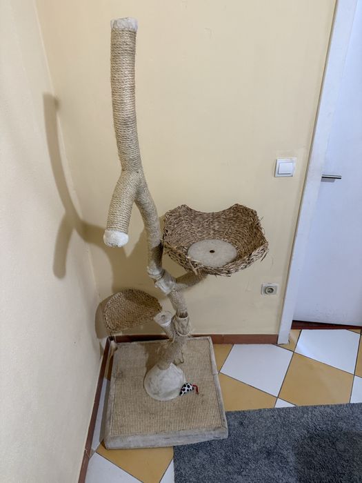 Arranhador de gato
