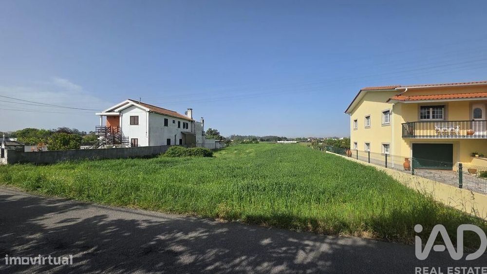 Terreno em Avanca