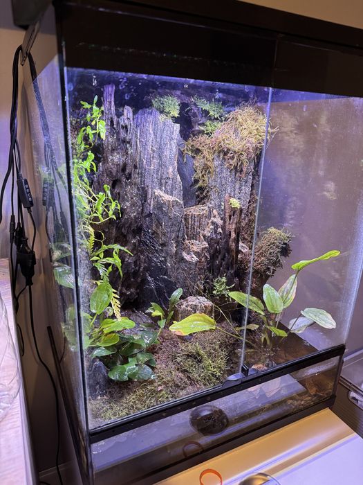 PALUDARIUM 60x45x45 komplet tanio Wawa rośliny sprzęt hydraulika