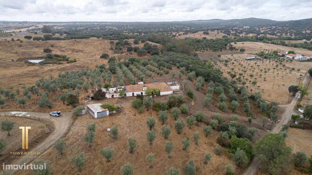 Herdade Com 5,9 Hectares, Moradia E Cavalariça | Santiago Do Escoural