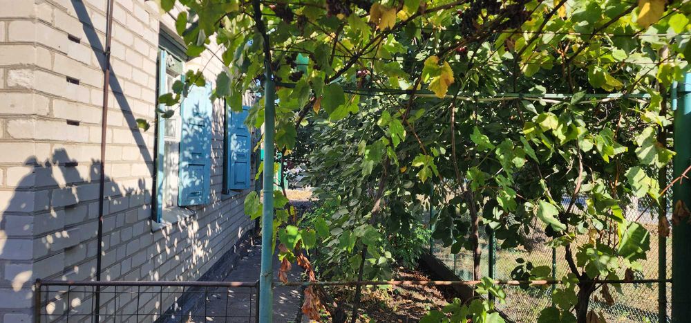 Продається будинок з гаражом в центрі по вул.Удільна