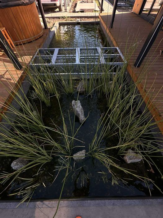 Водоем пруд озеро Водойма