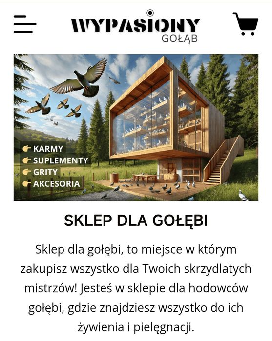 Sklep Internetowy + Pomysł na Biznes | SPRZEDAM