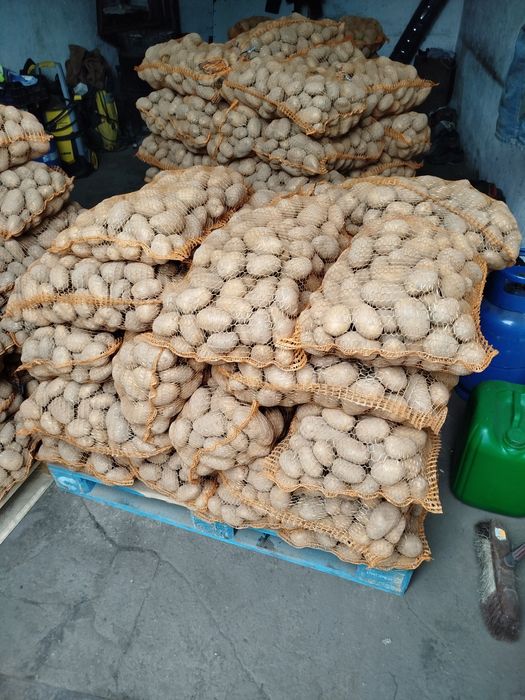 Ziemniaki jadalne hurt detal dowóz