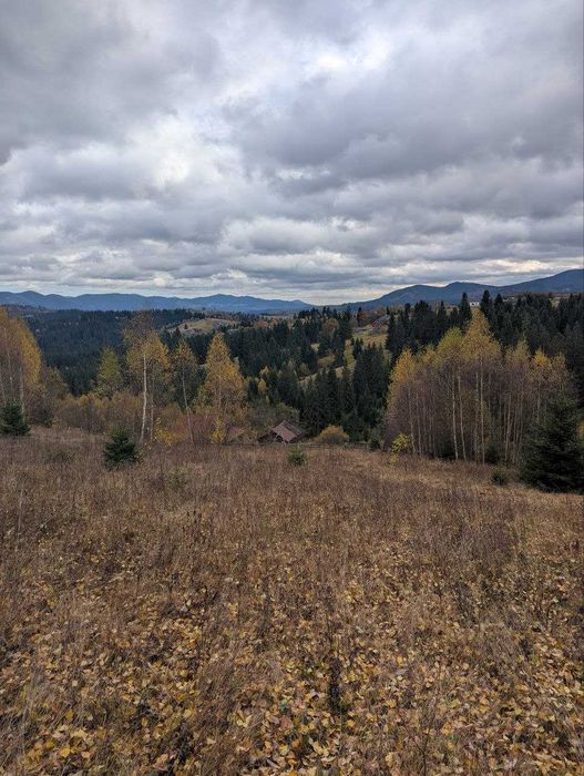 ділянка в Карпатах(Яблуниця)