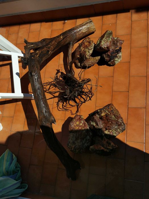 Layout aquário raiz/pedras