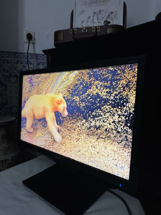 Monitor ACER V196HQL - Ótimo Estado
