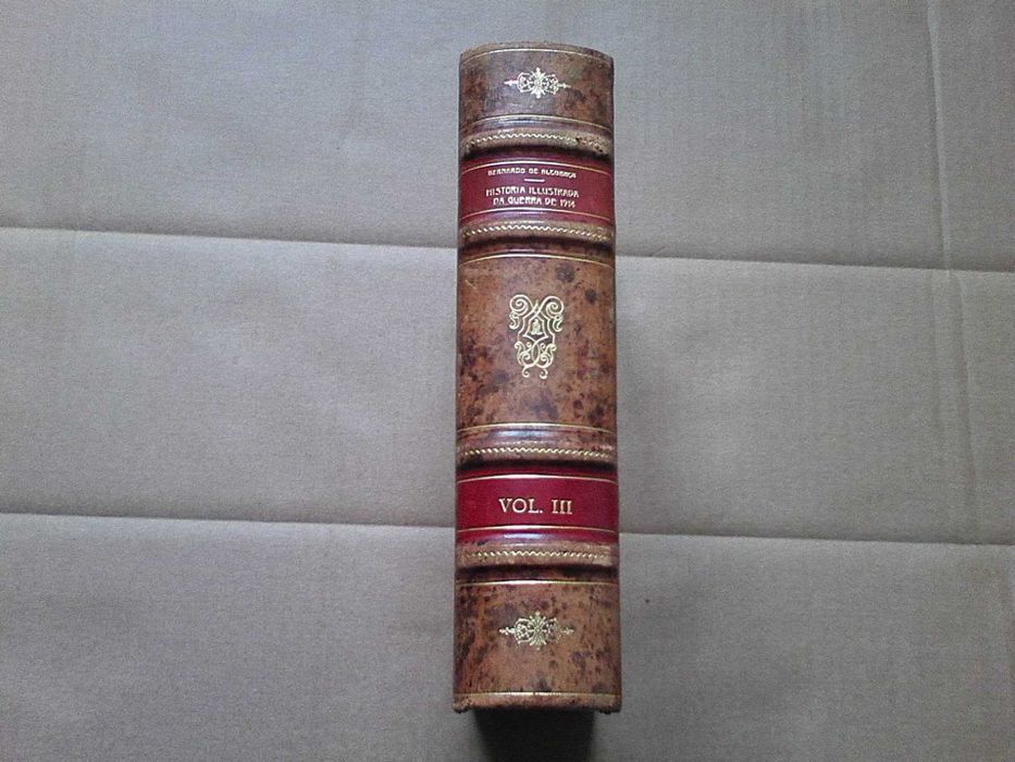 Historia illustrada da Guerra de 1914 3º volume