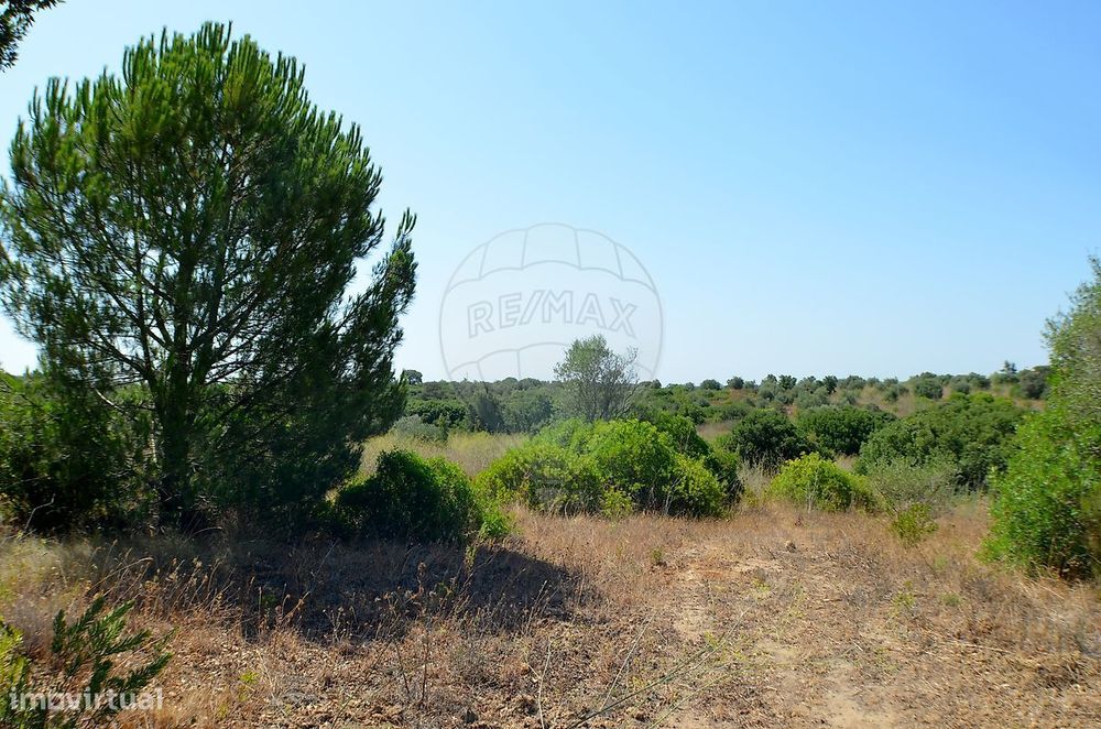 Terreno  para venda