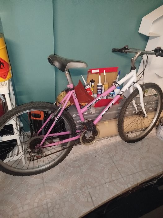 Bicicleta antiga