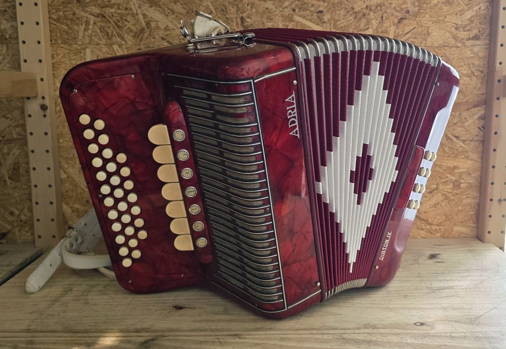 Concertina 4a voz fole novo