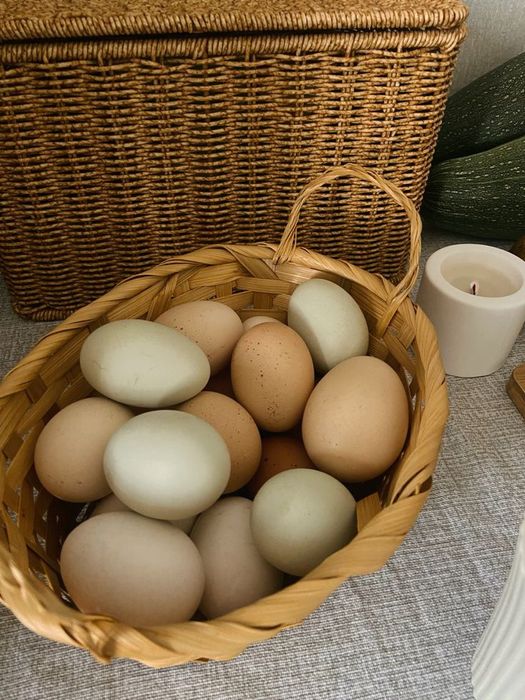 Яйця курячі домашні