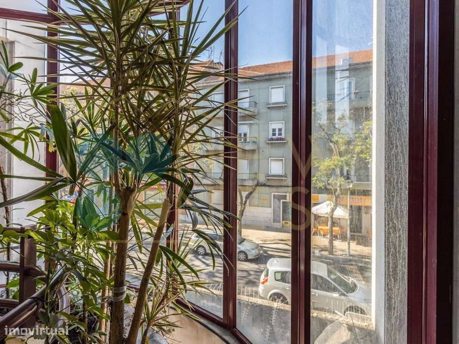 Área Nobre de 253 m² na Av. 5 de Outubro - O Maior Potencial de Con...