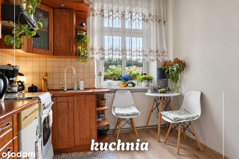 Zdjęcie 5